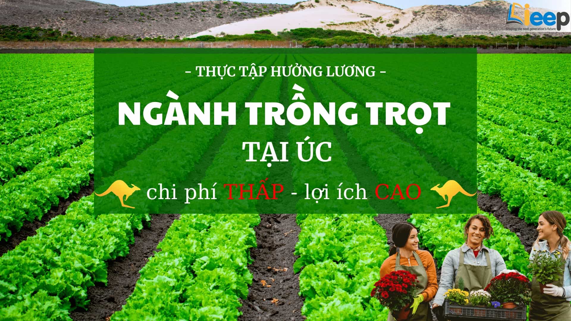 tt hưởng lương úc.jpg
